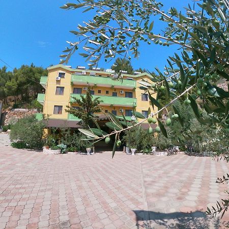 Hotel Bolonja Shëngjin Εξωτερικό φωτογραφία